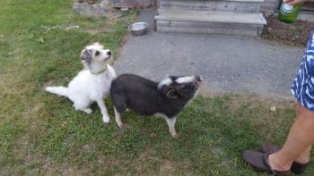 May and her buddy Bash. (Photo by Sarah Shepherd)