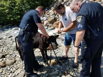 (photo courtesy of the Belfast Police Department)
