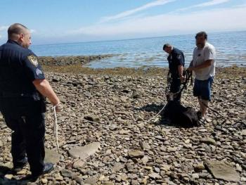 (photo courtesy of the Belfast Police Department)