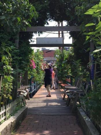 Admirers photograph the plantings along the Riverhouse Footbridge. (Photo: Jenna Lookner)