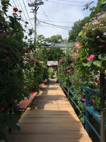 The Riverhouse footbridge is owned by Dickey, and he and his team maintain the colorful plantings along the bridge. (Photo: Jenna Lookner)