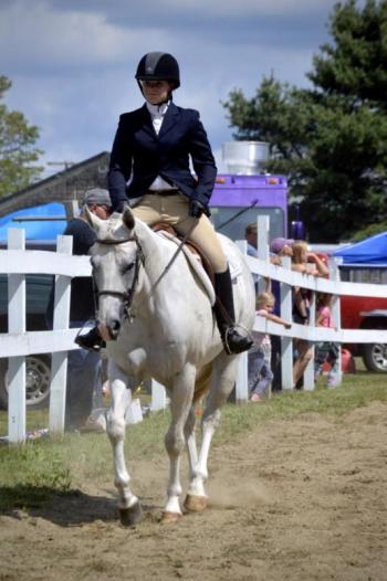 Taryn Crummet riding Mi Time To Dance in English pleasure. (Courtesy Chelsea Lord)