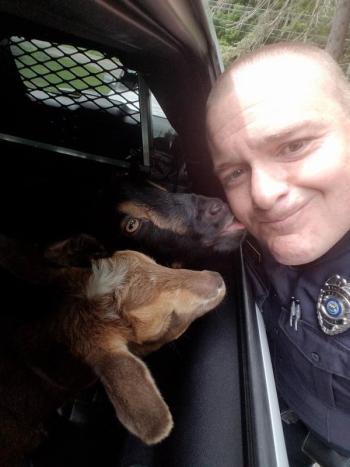 (photo courtesy of Sgt. Fitzpatrick, of the Belfast Police Department)