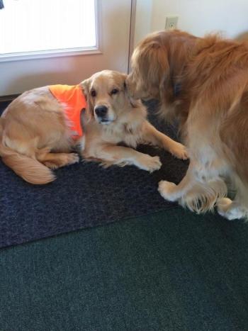 What is Max whispering into Scout’s ear?