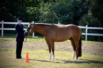 Showmanship with Max Webster and Too Sleepy To Invite. (Courtesy Chelsea Lord)