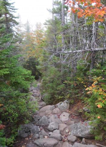 All paths are rocky around Katahdin. There’s no way around that, except when you cross manmade wooden bridges over wetlands. (Photo by Lynda Clancy)