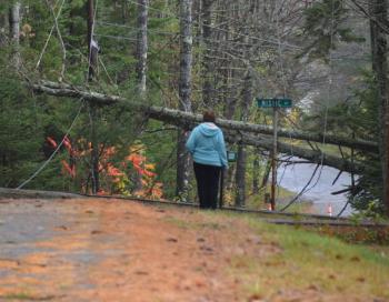 Camrock Street, in Rockport. (Photo by Lynda Clancy)