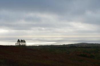 Looking out over Penobscot Bay. (Photo by Lynda Clancy)