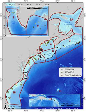 Locations of available passive acoustic recorders used for the study from Bermuda and the Caribbean (bottom right inset) to Davis Strait (top left inset). Colored dots indicate the time periods the recorders were available. Numbered regions, outlined in red and defined by historical North Atlantic right whale distribution patterns, correspond to the following geographic areas: 1. Davis Strait; 2. Iceland and Greenland; 3. Scotian Shelf; 4. Northern Gulf of Maine; 5. Massachusetts Bay; 6. Georges Bank; 7. Southern New England; 8. Mid-Atlantic; 9. Cape Hatteras; 10. Southeastern U.S.; 11. Bermuda
and the Caribbean. Photo credit: Davis et al, Scientific Reports, 2017.