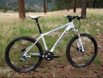 A stock image of the missing Cannondale mountain bike.
