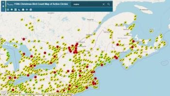 Christmas Bird Counts, CBC, Northeast, Jeff Wells, National Audubon Society