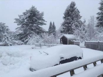 (Photo courtesy of Sue Hopkins, Camden)