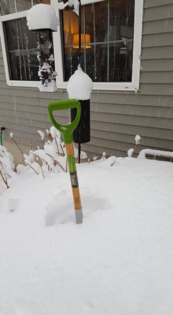 (Photo courtesy of Ann Filley, Rockport)