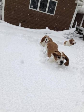 (Photo courtesy of Melissa Legare)