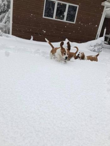 (Photo courtesy of Melissa Legare)
