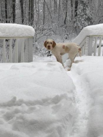 (Photo courtesy of Vicki Ingram Worden, Camden)