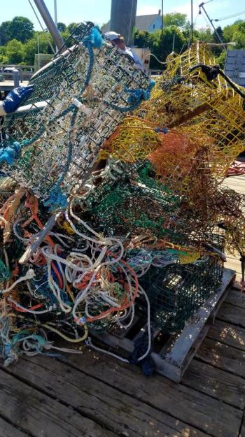Recovered broken traps, buoys and other debris washed up on the shoreline