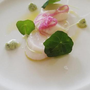 Gin cured scallops, nasturtium, tarragon and pickled onion. (Photo courtesy of THE HICHBORN)