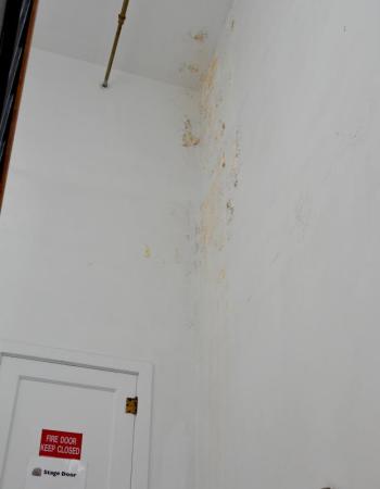 Paint is peeling on the northwest wall, near the back of the Camden Opera House, thought to be caused by water entering the building.