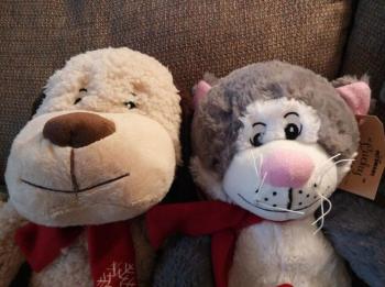 Stuffed animals await transportation to one of the local emergency rooms to be passed out to children. (Courtesy Stefanie McAllister/Facebook)