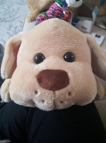 A stuffed animal await transportation to one of the local emergency rooms to be passed out to children. (Courtesy Stefanie McAllister/Facebook)