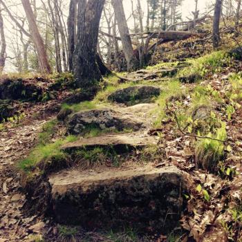 The Midcoast is full of treasured trails, and many of them are the result of men who hauled and placed hewn rocks, including those 1,200 feet up Megunticook Mountain, built as part of the Works Project Administration in the 1930s. On Megunticook, Hans Heistad was the designer and Lawrence Libby was the contractor. They left a legacy and aesthetic that continues today with exceptional stoneworkers who continue to create beauty with their rocks, and chisels and hammers. (Photo by Lynda Clancy)