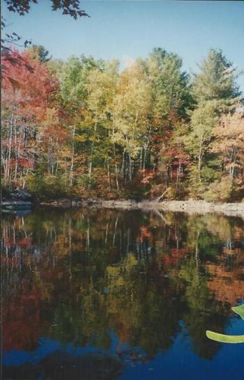 Fall foliage. (Photo courtesy Barbara F. Dyer)