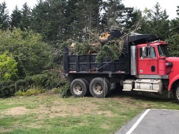 Clearing the site. (Photo courtesy of Marshall Point Lighthouse and Museum)