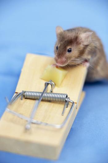 Mice population is booming. (Photo courtesy Metro Creative)