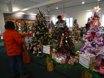 Many visitors browsed all the trees before choosing where to place their tickets. (photo by Erica Thoms)