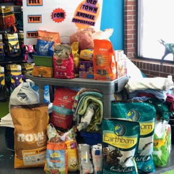 Special offers on dog and cat food from Loyal Biscuit Co. (Photo courtesy Loyal Biscuit Co.)