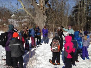 Day 3: “Being Coyotes” at Head of Tide Preserve, Belfast. (Photo courtesy Gene Randall)