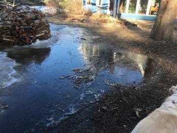 puddle