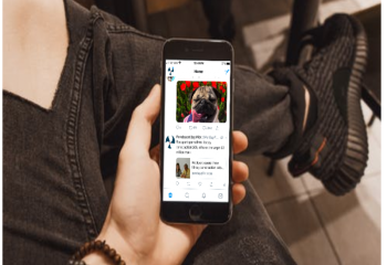 A new trend is to scroll through social media and come across accounts exclusively dedicated to pets among the ‘traditional’ accounts. (Photo composite by George Harvey)