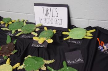 Turtles by grade 2. (Photo courtesy Thomaston Grammar School)