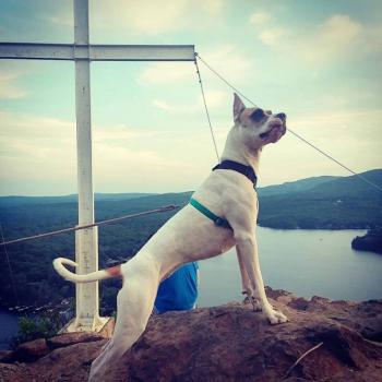 Merkury atop Maiden Cliff. (Photo Facebook/ Sydni Allison)