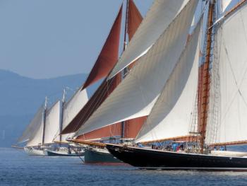 Boats on the race course at the start of the race. (Photo courtesy Bob Trapani)