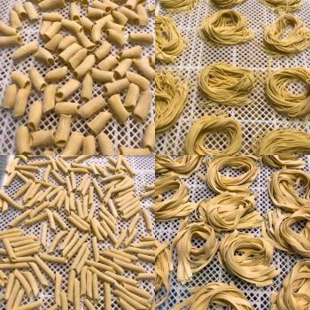 From left are rigatoni, spaghetti, penne and fettuccine. (Courtesy Nick Grim)