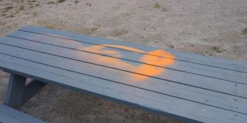 Waterfall Arts had multiple items spray-painted orange, from a rock bench to picnic tables, even several flowers were painted orange. (photo by Erica Thoms)