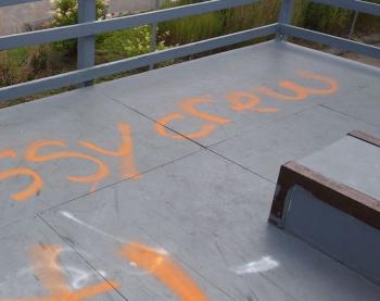 Overlock Memorial Skatepark was another area targeted, with close to a dozen different marks made, some including adult language or images. (photo by Erica Thoms)