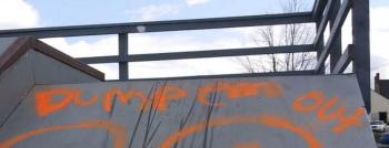 Overlock Memorial Skatepark was another area targeted, with close to a dozen different marks made, some including adult language or images. (photo by Erica Thoms)