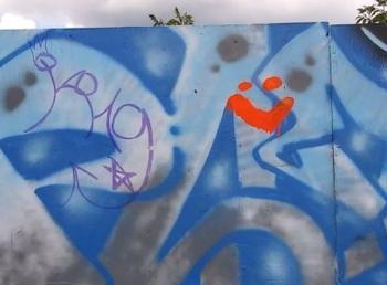 Overlock Memorial Skatepark was another area targeted, with close to a dozen different marks made, some including adult language or images. (photo by Erica Thoms)