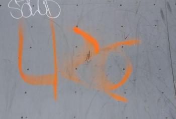 Overlock Memorial Skatepark was another area targeted, with close to a dozen different marks made, some including adult language or images. (photo by Erica Thoms)