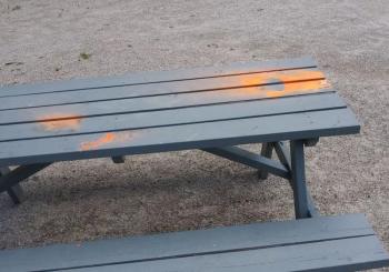 Waterfall Arts had multiple items spray-painted orange, from a rock bench to picnic tables, even several flowers were painted orange. (photo by Erica Thoms)