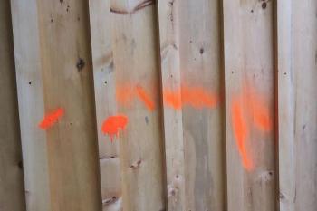 Waterfall Arts had multiple items spray-painted orange, from a rock bench to picnic tables, even several flowers were painted orange. (photo by Erica Thoms)