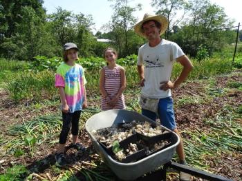 Gardening Coordinator David Wessel stands with two students and a wheelbarrow full of freshly harvested garlic. (photo by Erica Thoms)