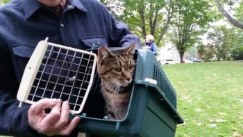 Meet “Doc Martin” who was trying to figure out just what was going on. (Photo by Sarah Shepherd)