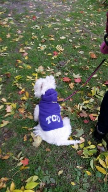 Now here’s a fan of Texas Christian University (TCU). (Photo by Sarah Shepherd)