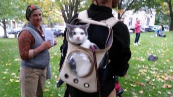 Meet Telltale the cat. (Photo by Sarah Shepherd)