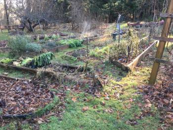 nov garden